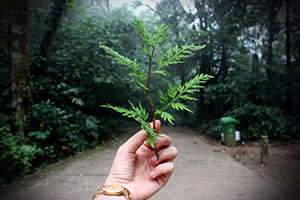 eco-friendly products for the home