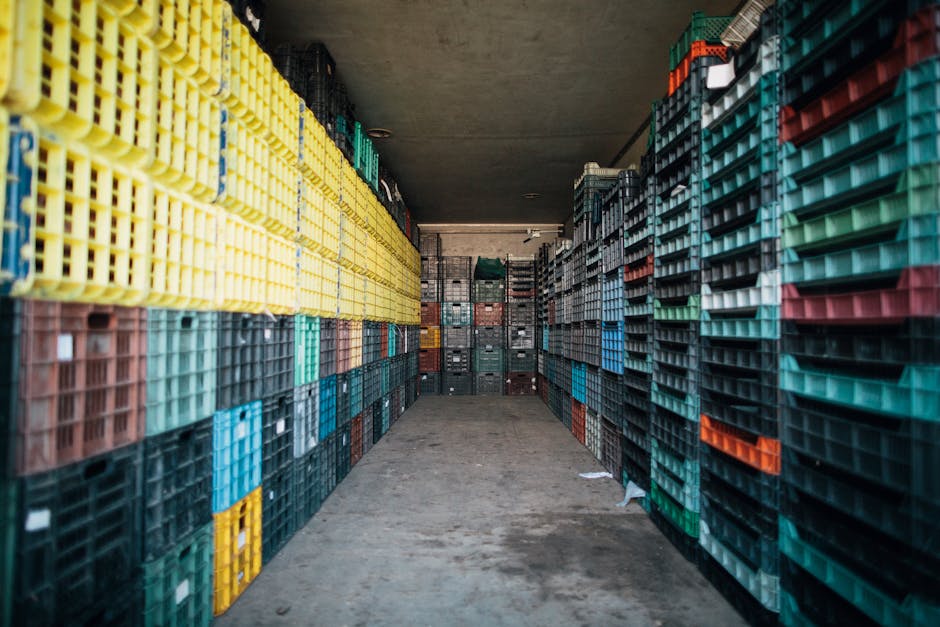 6 Best Plastic-Free Storage Solutions for an Eco-Friendly Home