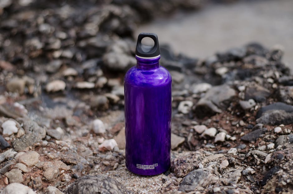 6 Essential Reusable Water Bottles and Containers for Eco-Friendly Living