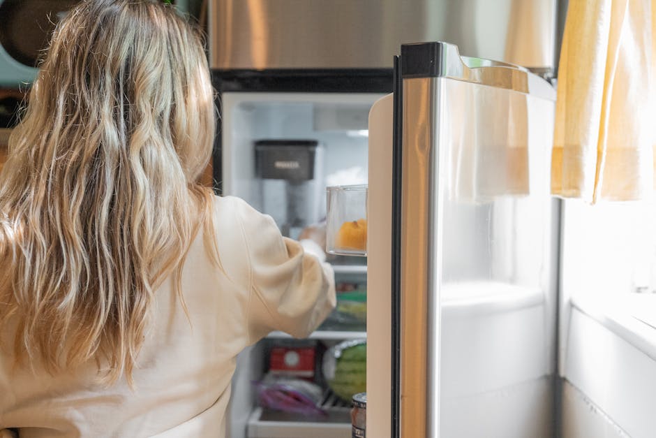 6 Best Energy-Efficient Home Appliances for Eco-Friendly Living