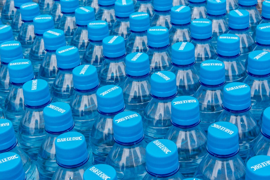 6 Essential Reusable Water Bottles and Containers for Eco-Friendly Living