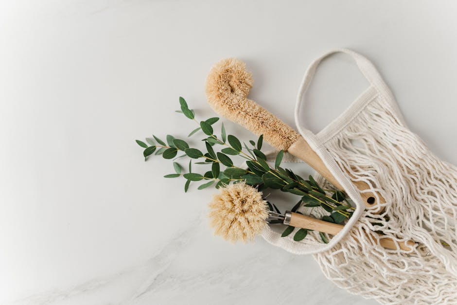 6 Best Eco-Friendly Cleaning Products for a Greener Home