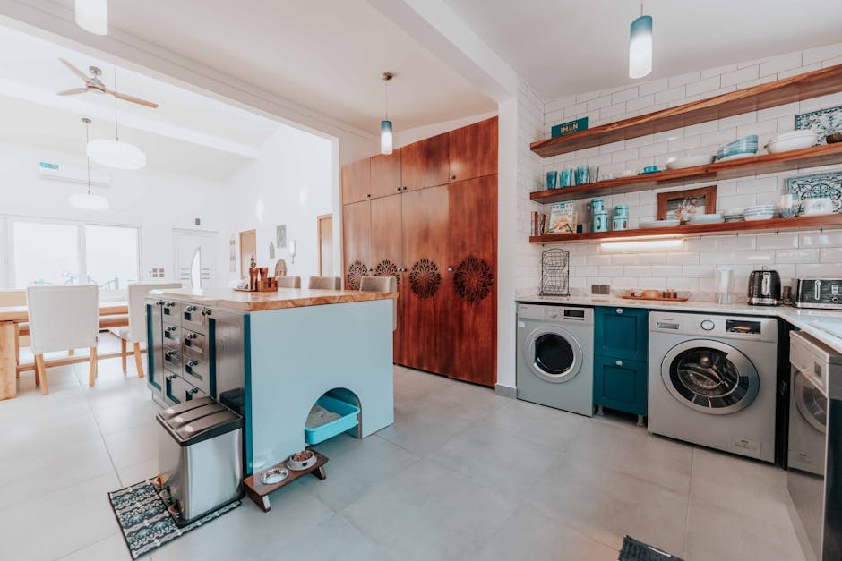 6 Best Energy-Efficient Home Appliances for Eco-Friendly Living