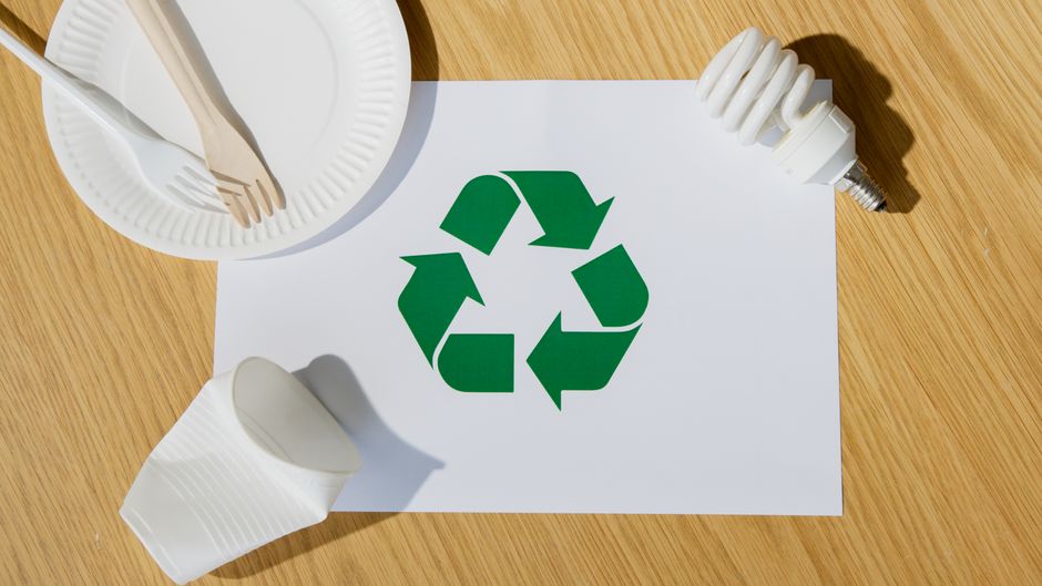 6 Best Compostable and Biodegradable Products for Eco-Friendly Homes